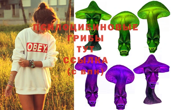 ешки Богданович