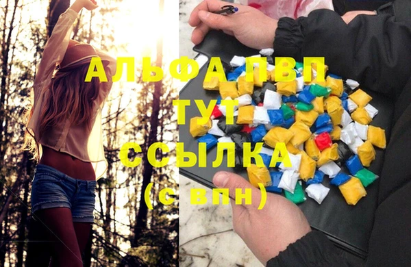 ешки Богданович