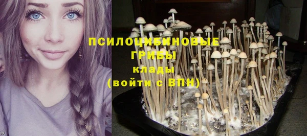 не бодяженный Богородск