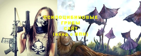 не бодяженный Богородск